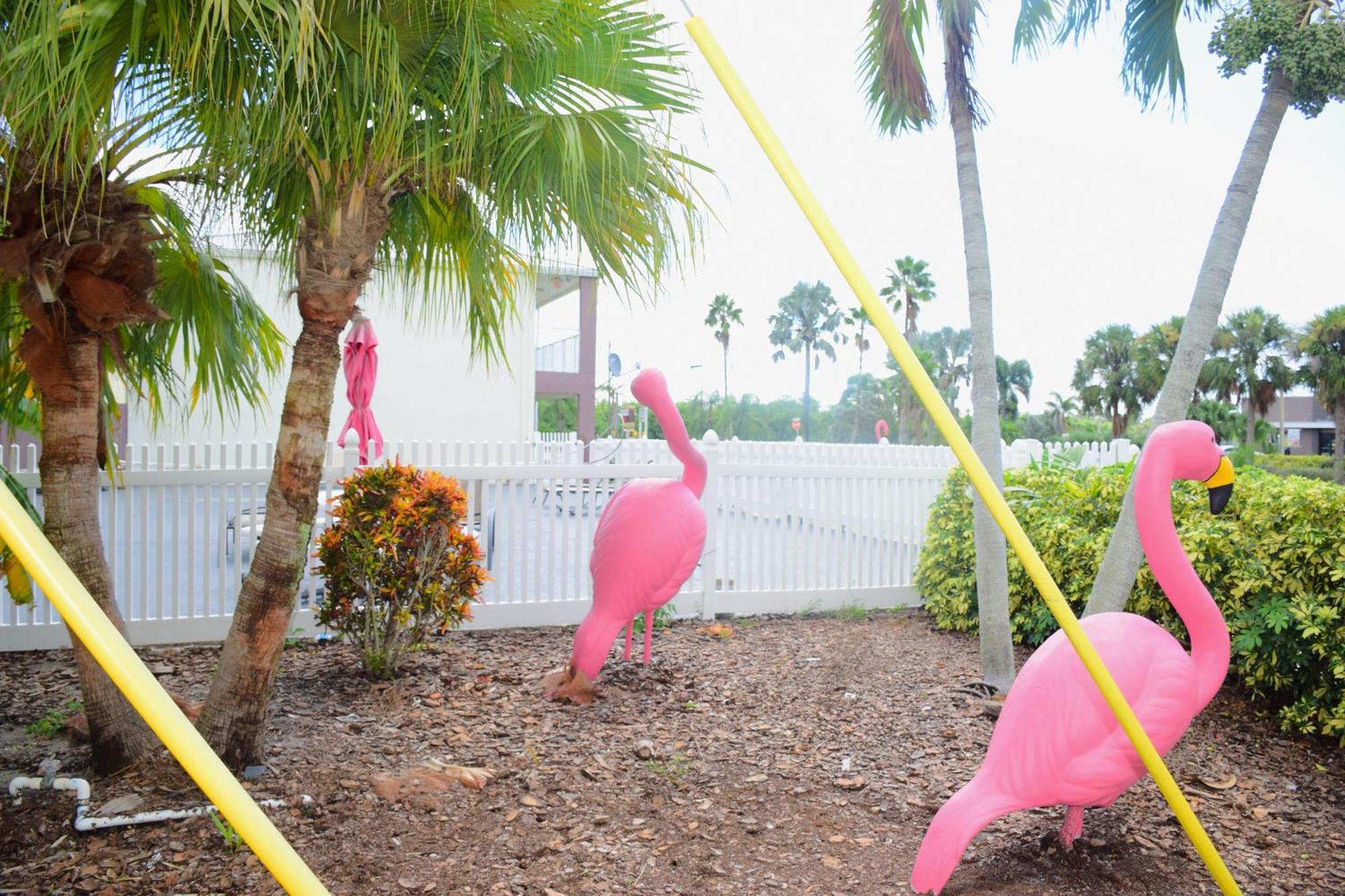 Flamingo Motel Okeechobee Kültér fotó
